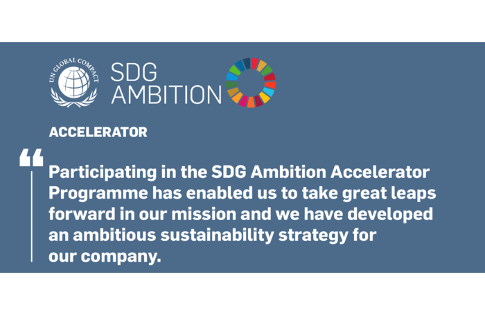 Акселератор SDG Ambition начал свою работу с новым набором компаний